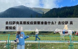 去拉薩有高原反應(yīng)需要準備什么？去拉薩 高原反應(yīng)