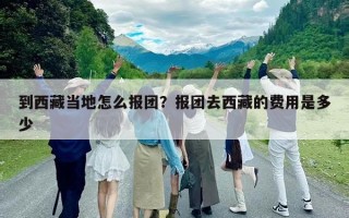 到西藏當地怎么報團？報團去西藏的費用是多少