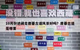 10月份進(jìn)藏走唐蕃古道風(fēng)景好嗎？唐蕃古道是哪里