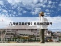 幾月桃花最好看？幾月桃花盛開