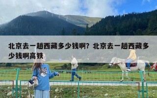 北京去一趟西藏多少錢啊？北京去一趟西藏多少錢啊高鐵
