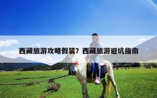 西藏旅游攻略假裝？西藏旅游避坑指南
