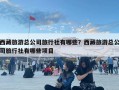 西藏旅游總公司旅行社有哪些？西藏旅游總公司旅行社有哪些項(xiàng)目