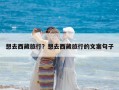 想去西藏旅行？想去西藏旅行的文案句子