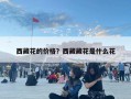 西藏花的價格？西藏藏花是什么花
