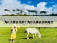 為什么要去拉薩？為什么要去拉薩兩次