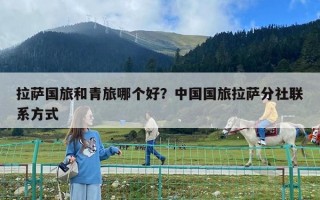 拉薩國旅和青旅哪個好？中國國旅拉薩分社聯系方式