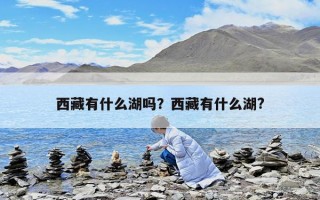 西藏有什么湖嗎？西藏有什么湖?
