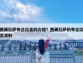 西藏拉薩布達(dá)拉宮的介紹？西藏拉薩的布達(dá)拉宮資料