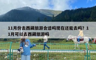 11月份去西藏旅游合適嗎現在還能去嗎？11月可以去西藏旅游嗎