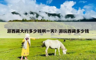 游西藏大約多少錢啊一天？游玩西藏多少錢