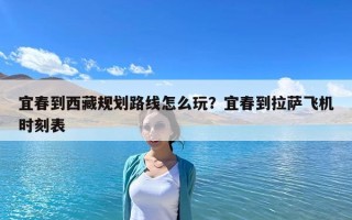 宜春到西藏規劃路線怎么玩？宜春到拉薩飛機時刻表