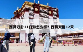 西藏雙臥11日游怎么樣？西藏雙臥12天