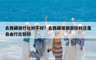 去西藏旅行社好不好？去西藏報旅游團好還是自由行比較好