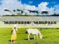 飛機(jī)到拉薩旅游攻略？飛機(jī)到拉薩怎么玩