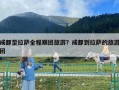 成都至拉薩全程跟團旅游？成都到拉薩的旅游團