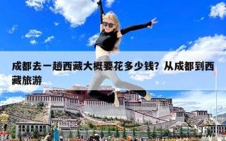 成都去一趟西藏大概要花多少錢？從成都到西藏旅游