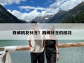 西藏桃花林芝？西藏林芝的桃花