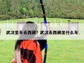 武漢坐車去西藏？武漢去西藏坐什么車