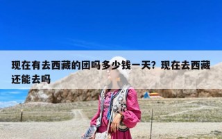 現在有去西藏的團嗎多少錢一天？現在去西藏還能去嗎