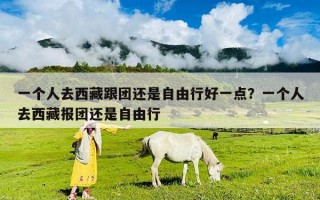 一個(gè)人去西藏跟團(tuán)還是自由行好一點(diǎn)？一個(gè)人去西藏報(bào)團(tuán)還是自由行