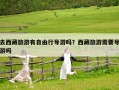 去西藏旅游有自由行導游嗎？西藏旅游需要導游嗎