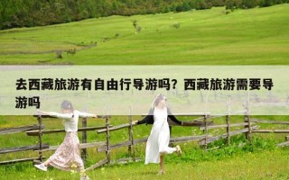 去西藏旅游有自由行導游嗎？西藏旅游需要導游嗎