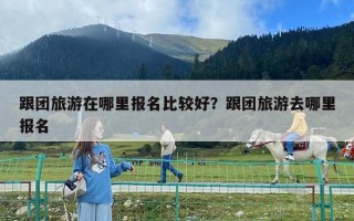 跟團旅游在哪里報名比較好？跟團旅游去哪里報名