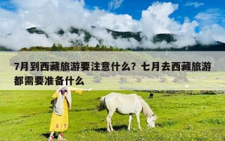 7月到西藏旅游要注意什么？七月去西藏旅游都需要準備什么