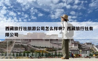 西藏旅行社旅游公司怎么樣啊？西藏旅行社有限公司