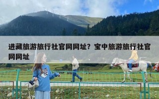 進藏旅游旅行社官網網址？寶中旅游旅行社官網網址