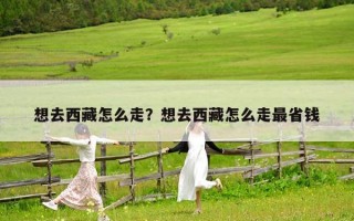 想去西藏怎么走？想去西藏怎么走最省錢