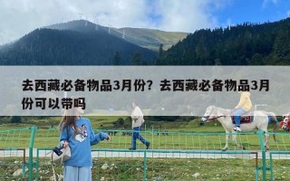 去西藏必備物品3月份？去西藏必備物品3月份可以帶嗎