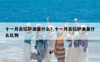 十一月去拉薩準(zhǔn)備什么？十一月去拉薩準(zhǔn)備什么禮物