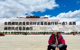 去西藏旅游是報團好還是自由行好一點？去西藏抱團還是自由行