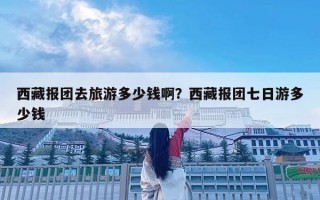 西藏報團去旅游多少錢啊？西藏報團七日游多少錢