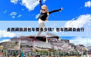 去西藏旅游包車要多少錢？包車西藏自由行