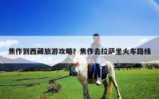 焦作到西藏旅游攻略？焦作去拉薩坐火車路線