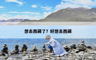 想去西藏了？好想去西藏