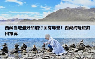 西藏當地最好的旅行團有哪些？西藏純玩旅游團推薦