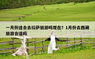 一月份適合去拉薩旅游嗎現(xiàn)在？1月份去西藏旅游合適嗎