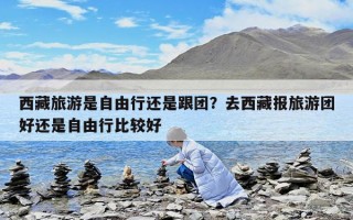 西藏旅游是自由行還是跟團？去西藏報旅游團好還是自由行比較好