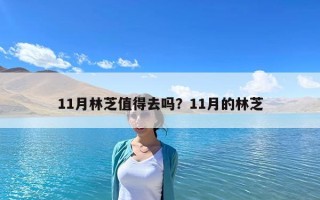 11月林芝值得去嗎？11月的林芝