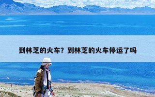 到林芝的火車？到林芝的火車停運(yùn)了嗎