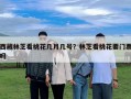 西藏林芝看桃花幾月幾號？林芝看桃花要門票嗎