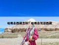 哈弗去西藏怎樣？哈弗自駕游西藏