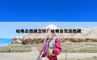 哈弗去西藏怎樣？哈弗自駕游西藏