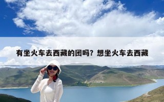 有坐火車(chē)去西藏的團(tuán)嗎？想坐火車(chē)去西藏