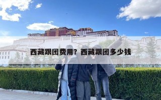 西藏跟團費用？西藏跟團多少錢