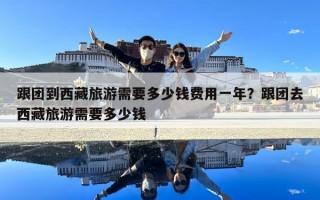 跟團(tuán)到西藏旅游需要多少錢費(fèi)用一年？跟團(tuán)去西藏旅游需要多少錢